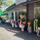 대림카공업사 이미지