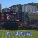 다정한세계