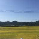 ZeZuZip 이미지