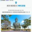 내맘대로여행사 이미지