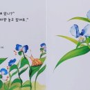 개구리노래클럽 이미지