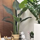 린세신샵 | 1인 세신샵 린 세신샵 우유세신코스 찐 후기 | 프라이빗한 예비신부 관리