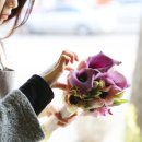 플라워 엘라 이미지