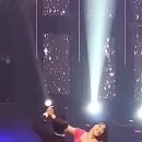 실버사교댄스 Daum카페