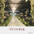주안 CN 웨딩홀 하객 방문 리얼 후기