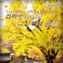 서원 유치원 이미지