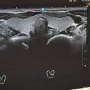 제이미즈 산부인과의원 이미지