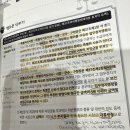 투썸플레이스영등포당산아리 | 벚꽃부터 야장까지, 뽈뽈거리며 다닌 4월 일상 기록