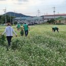 하얀정원 이미지