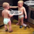 모리 이미지