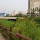 한산4교 네이버블로그