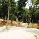 더숲캠핑장 이미지