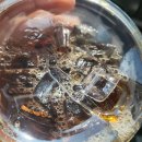 연희지점 이미지