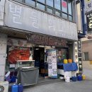 대전 이모카세 탄방동맛집 별들의고향