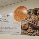 호두앤카페 이미지