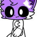 Hello Kitten 이미지