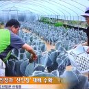 김복희 농장 이미지