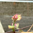 지지농장 이미지