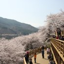 하동 이미지