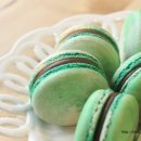 민트초코(Mint choco) 네이버블로그
