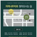 자작나무치과의원 이미지
