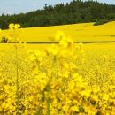 (주)제주왕 이미지