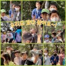 신주례태권도2 이미지