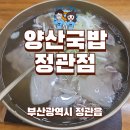양산국밥 (정관점) | 부산 정관 양산국밥 맑은국물 돼지곰탕 맛집 추천