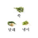 주행경희한의원 이미지