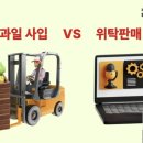 팜피디