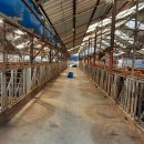 한우축사 이미지