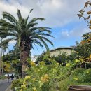 숨도 귤림성 이미지