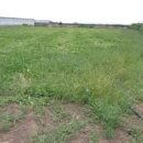 서귀포지방법원 이미지