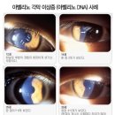 아벨리노 - 강남구 봉은사로2길 23 | 아벨리노