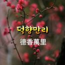 9월 19일(월) ★덕향만리(德香萬里)★ 이미지