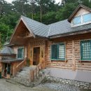 대관령자연휴양림 이미지