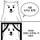 보일러 수리비 74만원 나왓어요 이미지