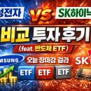 삼성전자(반도체) | 삼성전자 VS SK하이닉스 VS 대표 반도체 ETF 비교투자 후기