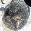 봉낚시터 이미지