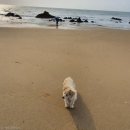 두식이펜션 이미지