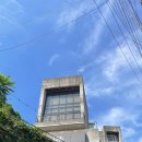 매니악 피트니스 | 모이면 곧 녹지가 되는 거잖아. 그러면 녹지화를 위해서 인걸까 [피티루트 여성전용 PT샵 세미나 후기]