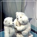 제주테디베어뮤지엄 이미지