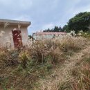 서성일로 이미지