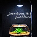 조은하루 이미지