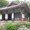 학천1리 이미지