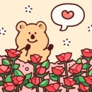 산타마리아노벨라현대판교 이미지