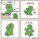 게으른집돌이