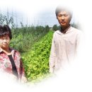 산너울농원 네이버블로그