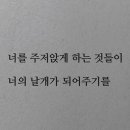 노암 이미지