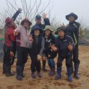 예스 팜 이미지